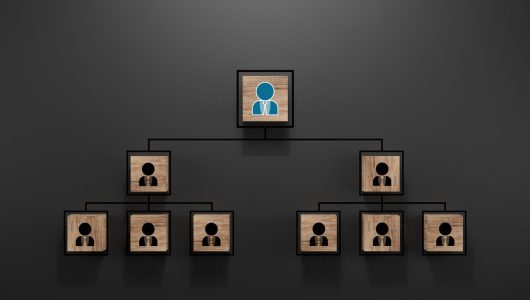 Hierarchie Ressources Humaines
